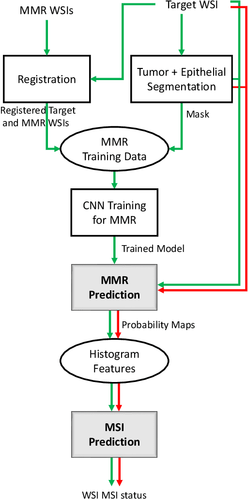 Figure 3 for Deep Learning based Prediction of MSI in Colorectal Cancer via Prediction of the Status of MMR Markers