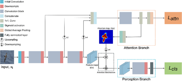 Figure 3 for Towards Better Guided Attention and Human Knowledge Insertion in Deep Convolutional Neural Networks