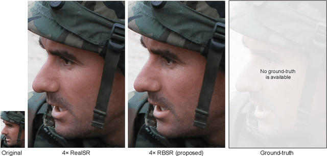 Figure 1 for Benefitting from Bicubically Down-Sampled Images for Learning Real-World Image Super-Resolution