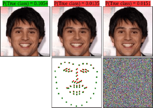 Figure 1 for Fast Geometrically-Perturbed Adversarial Faces