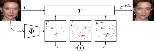 Figure 3 for Fast Geometrically-Perturbed Adversarial Faces