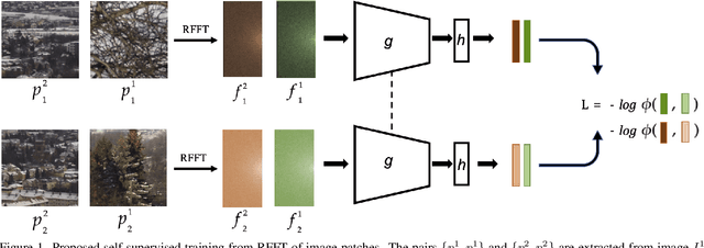 Figure 1 for SISL:Self-Supervised Image Signature Learning for Splicing Detection and Localization