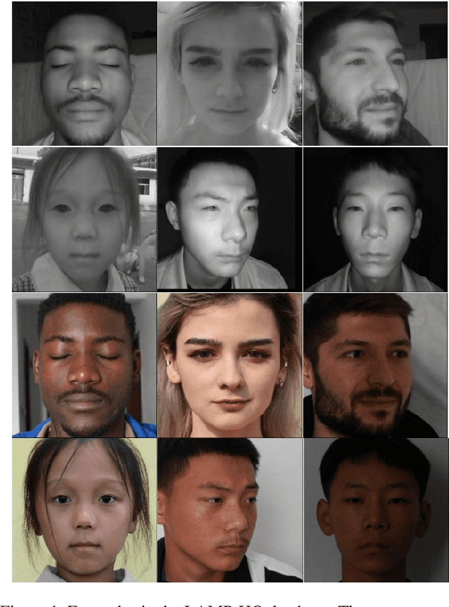 Figure 1 for LAMP-HQ: A Large-Scale Multi-Pose High-Quality Database for NIR-VIS Face Recognition