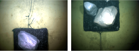 Figure 4 for WaterNeRF: Neural Radiance Fields for Underwater Scenes