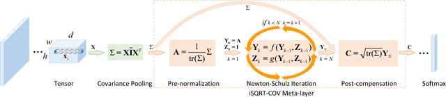 Figure 2 for Towards Faster Training of Global Covariance Pooling Networks by Iterative Matrix Square Root Normalization