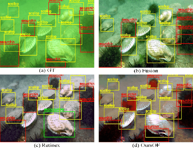 Figure 1 for Perceptual underwater image enhancement with deep learning and physical priors