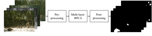 Figure 1 for Camera-trap images segmentation using multi-layer robust principal component analysis