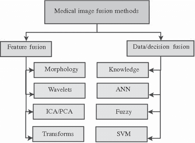 Figure 1 for A Review of Feature and Data Fusion with Medical Images