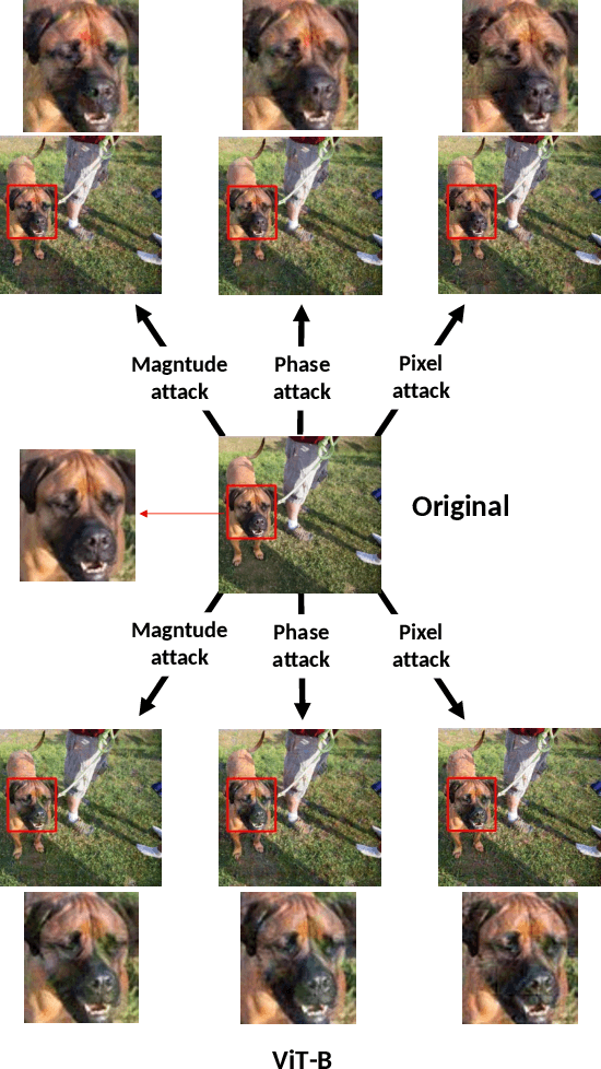 Figure 3 for Analyzing Adversarial Robustness of Vision Transformers against Spatial and Spectral Attacks