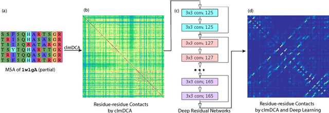 Figure 1 for Predicting protein inter-residue contacts using composite likelihood maximization and deep learning