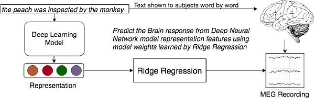 Figure 2 for Relating Simple Sentence Representations in Deep Neural Networks and the Brain
