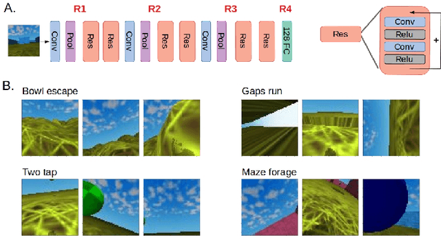 Figure 2 for Divergent representations of ethological visual inputs emerge from supervised, unsupervised, and reinforcement learning