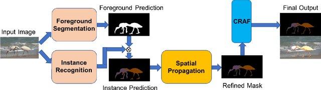 Figure 1 for Learning to Segment Instances in Videos with Spatial Propagation Network
