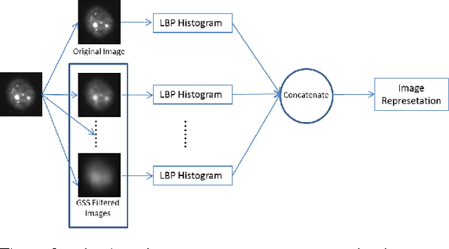 Figure 3 for HEp-2 Cell Classification: The Role of Gaussian Scale Space Theory as A Pre-processing Approach