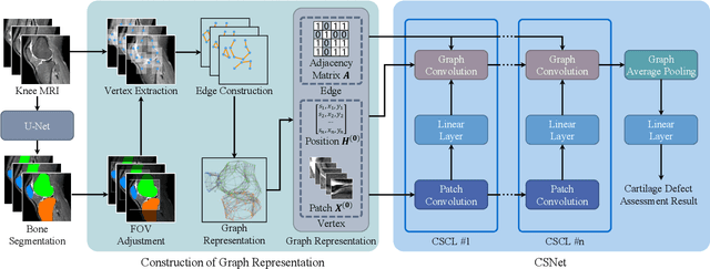 Figure 2 for Knee Cartilage Defect Assessment by Graph Representation and Surface Convolution
