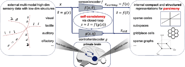 Figure 1 for On the Principles of Parsimony and Self-Consistency for the Emergence of Intelligence