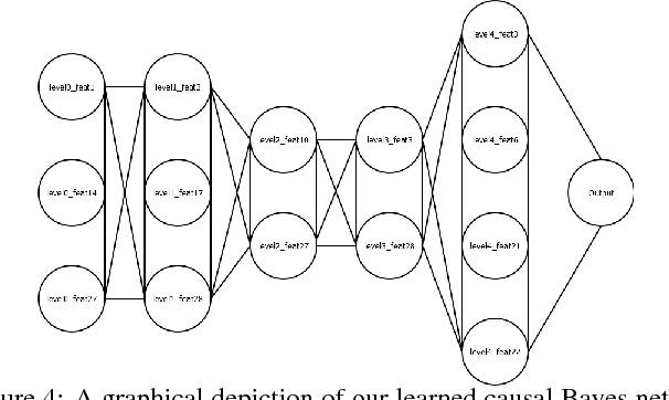 Figure 3 for Causal Learning and Explanation of Deep Neural Networks via Autoencoded Activations