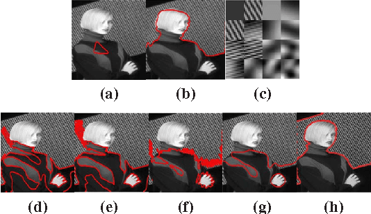 Figure 2 for Piecewise Linear Patch Reconstruction for Segmentation and Description of Non-smooth Image Structures