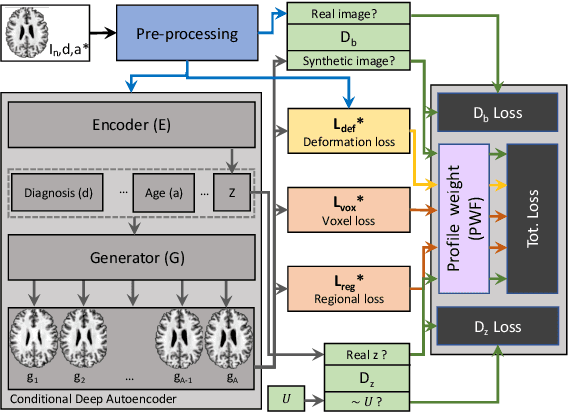 Figure 2 for Degenerative Adversarial NeuroImage Nets for 3D Simulations: Application in Longitudinal MRI