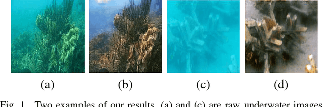 Figure 1 for Emerging from Water: Underwater Image Color Correction Based on Weakly Supervised Color Transfer