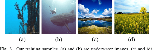 Figure 3 for Emerging from Water: Underwater Image Color Correction Based on Weakly Supervised Color Transfer