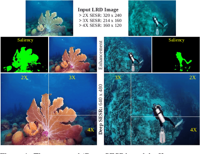 Figure 1 for Simultaneous Enhancement and Super-Resolution of Underwater Imagery for Improved Visual Perception