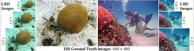 Figure 3 for Simultaneous Enhancement and Super-Resolution of Underwater Imagery for Improved Visual Perception