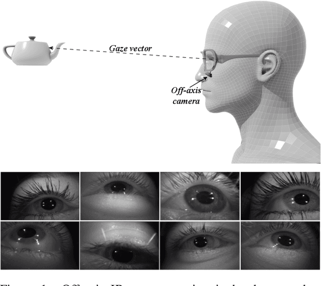 Figure 1 for EyeNet: A Multi-Task Network for Off-Axis Eye Gaze Estimation and User Understanding