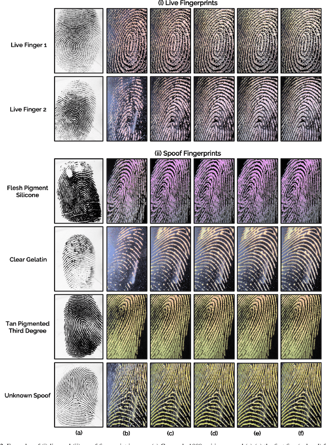 Figure 3 for Fingerprint Spoof Detection: Temporal Analysis of Image Sequence