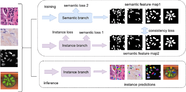 Figure 1 for Cell R-CNN V3: A Novel Panoptic Paradigm for Instance Segmentation in Biomedical Images
