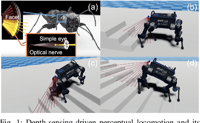 Figure 1 for Learning Perceptual Locomotion on Uneven Terrains using Sparse Visual Observations