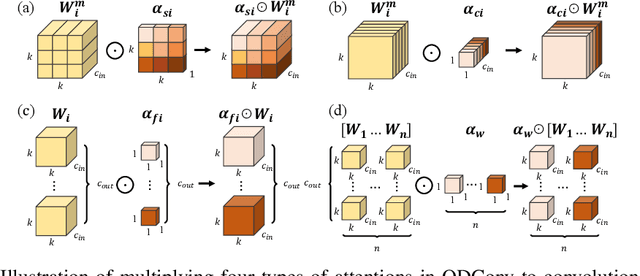 Figure 3 for Omni-Dimensional Dynamic Convolution