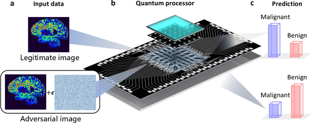 Figure 1 for Experimental quantum adversarial learning with programmable superconducting qubits
