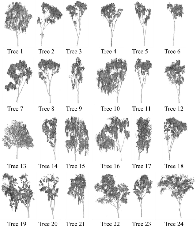 Figure 2 for Wood-leaf classification of tree point cloud based on intensity and geometrical information