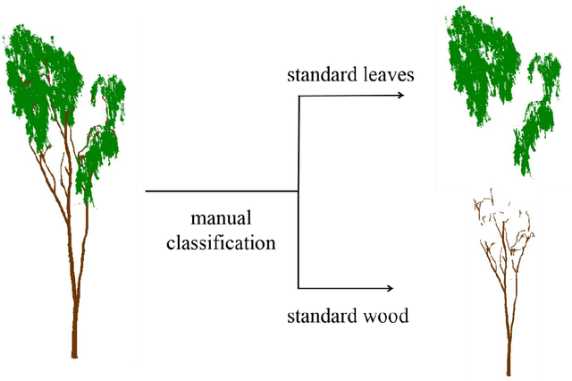 Figure 3 for Wood-leaf classification of tree point cloud based on intensity and geometrical information
