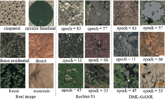 Figure 2 for DML-GANR: Deep Metric Learning With Generative Adversarial Network Regularization for High Spatial Resolution Remote Sensing Image Retrieval