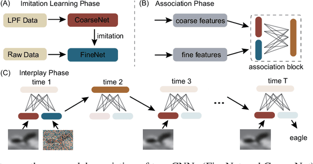 Figure 2 for Vision at A Glance: Interplay between Fine and Coarse Information Processing Pathways
