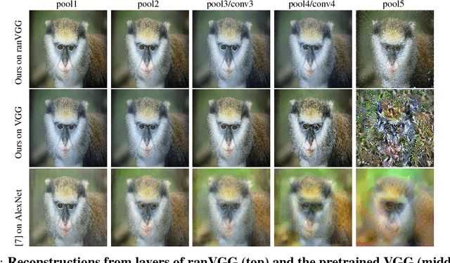 Figure 1 for A Powerful Generative Model Using Random Weights for the Deep Image Representation