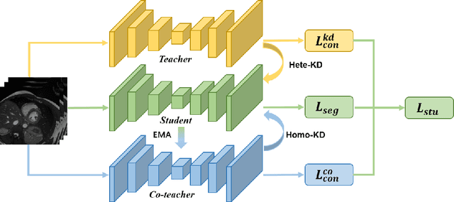 Figure 1 for ACT-Net: Asymmetric Co-Teacher Network for Semi-supervised Memory-efficient Medical Image Segmentation