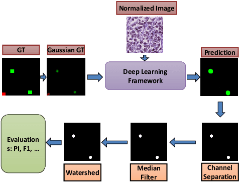 Figure 1 for Mitosis Detection for Breast Cancer Pathology Images using UV-Net