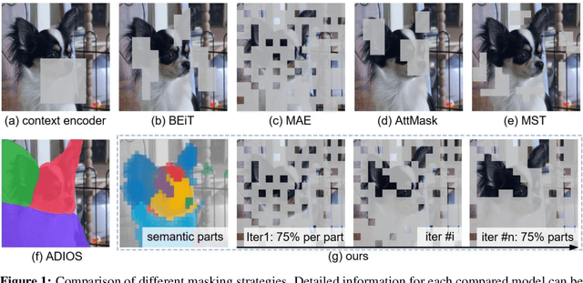 Figure 1 for SemMAE: Semantic-Guided Masking for Learning Masked Autoencoders