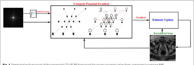 Figure 1 for Sparse Reconstruction of Compressive Sensing MRI using Cross-Domain Stochastically Fully Connected Conditional Random Fields