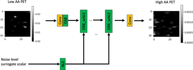 Figure 3 for A Noise-level-aware Framework for PET Image Denoising