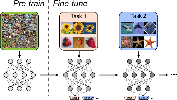 Figure 1 for Alleviating Representational Shift for Continual Fine-tuning