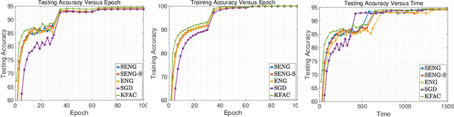 Figure 4 for Sketchy Empirical Natural Gradient Methods for Deep Learning