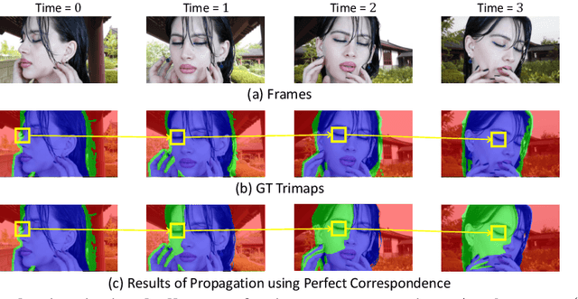 Figure 3 for One-Trimap Video Matting