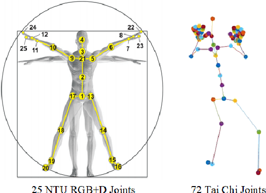 Figure 3 for Spatial Transformer Network with Transfer Learning for Small-scale Fine-grained Skeleton-based Tai Chi Action Recognition