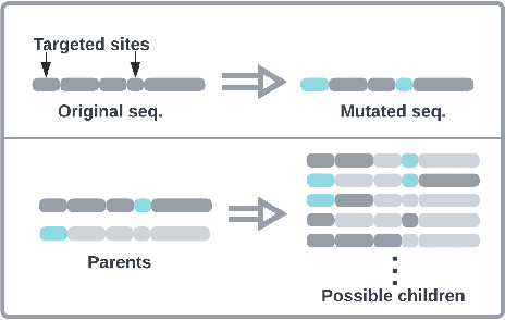 Figure 1 for Bandit Theory and Thompson Sampling-Guided Directed Evolution for Sequence Optimization