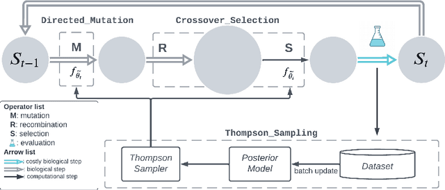 Figure 2 for Bandit Theory and Thompson Sampling-Guided Directed Evolution for Sequence Optimization
