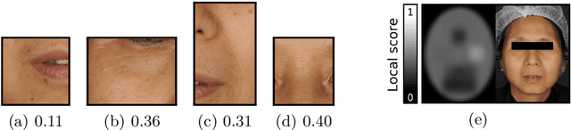 Figure 3 for AgingMapGAN (AMGAN): High-Resolution Controllable Face Aging with Spatially-Aware Conditional GANs